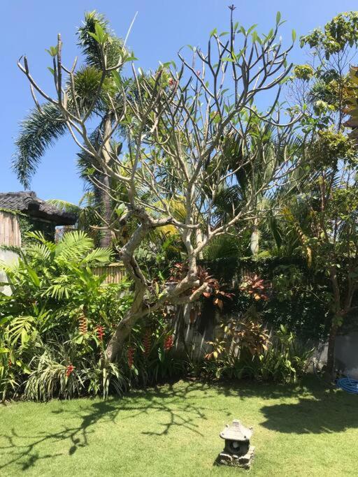 Desa Naga Villa Canggu Dış mekan fotoğraf